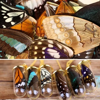 20pcs Reálne Motýlích Krídel 3D Butterfly Vzoriek Krídla Reálne Sušené Matka Motýle Krídla pre Krúžok/Náušnice/Náhrdelník