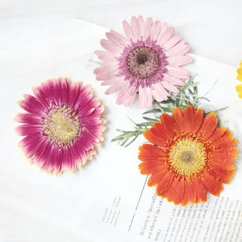 6-11 cm/2ks,prírodné stlačené Gerbera kvet hlavu,DIY telefón prípade aromaterapia sviečku na nechty, vylepšenie fotografie petal make-up