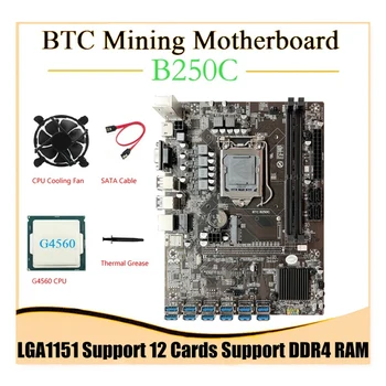 B250C BTC Ťažba Doske+G4560 CPU+SATA Kábel+Chladiaci Ventilátor 12GPU PCIE Na USB3.0 Slot LGA1151 Podporuje DDR4 RAM