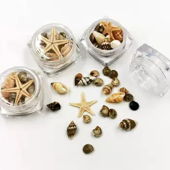 Malé Prírodné Pláže Seashell Hviezdice Námorných Dekor Šperky, Sklo DIY Výplne Nail Art Živice Náplne Šperky Robiť