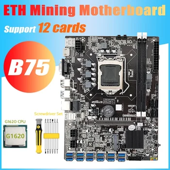 B75 ETH Ťažba Doske 12 PCIE Na USB3.0+G1620 CPU+Skrutkovač Nastaviť LGA1155 MSATA B75 DDR3 BTC USB základnej Dosky