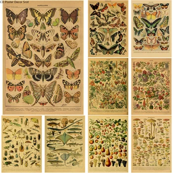Motýľ Hmyzu Kvet Húb Plagát Botanická Vzdelávacie Kraft Papier DIY Vintage Domov Miestnosť, Bar, Kaviareň Decor Art Nástenné Maľby