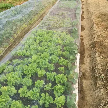100Mesh Šírka 2,5 m (8.2 ft) Plastový Záhradný Sieťovina Farmy, Zeleninové prípravky na Kontrolu Škodcov Čistý Balkón Kvetináč Bonsai Proti Hmyzu Net